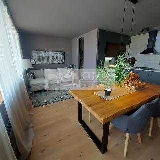 Pronájem bytu 3+kk 68 m² Praha, Tetínská