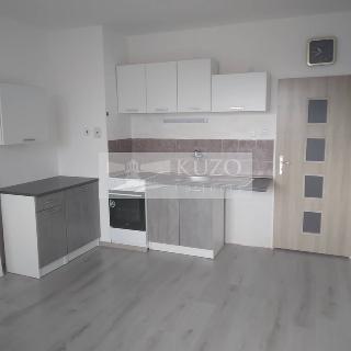 Pronájem bytu 1+kk a garsoniéry 25 m² Příbram, Pod Čertovým pahorkem