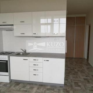 Pronájem bytu 1+1 45 m² Chomutov, Bezručova