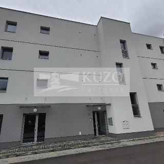 Prodej bytu 3+kk 77 m² Žamberk, Divišova