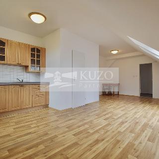 Pronájem bytu 3+1 120 m² Horní Lukavice