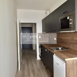 Pronájem bytu 1+kk a garsoniéry 34 m² Plzeň, Goldscheiderova