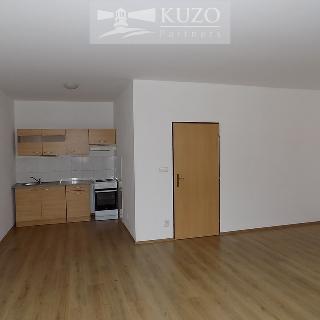 Pronájem bytu 1+kk a garsoniéry 48 m² Dobříš, Antonína Dvořáka