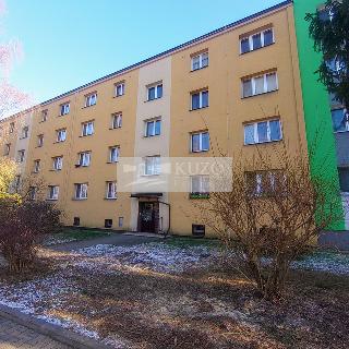 Pronájem bytu 1+1 35 m² Ostrava, Volgogradská