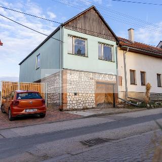 Prodej vinného sklepa 173 m² Horní Věstonice, 