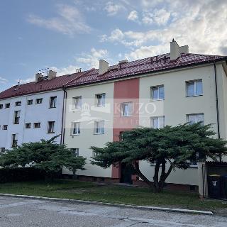 Prodej bytu 3+1 62 m² Havlíčkův Brod, P. F. Ledvinky