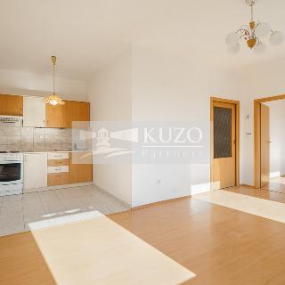 Prodej bytu 2+kk 50 m² Přerov, Husova