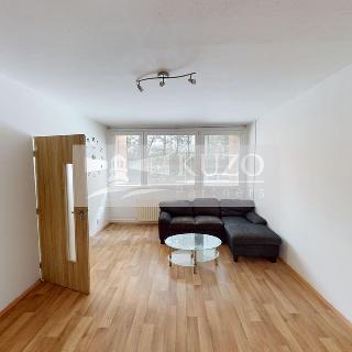 Pronájem bytu 1+1 50 m² Příbram, Ryneček