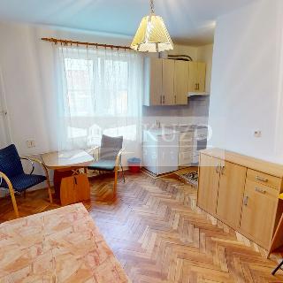 Pronájem bytu 1+kk a garsoniéry 22 m² Příbram, Bratří Čapků