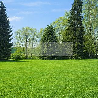 Prodej zahrady 1635 m&sup2; Nová Paka