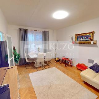 Pronájem bytu 2+1 53 m² Plzeň