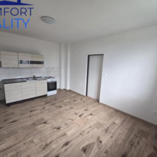 Pronájem bytu 2+kk 50 m² Střítež Kaplice-nádraží