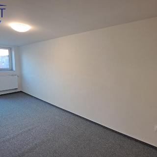 Pronájem bytu 3+1 90 m² Odry, Růžová