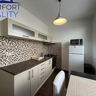 Pronájem bytu 1+1 36 m&sup2; Ostrava