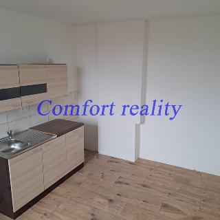 Pronájem bytu 1+kk, garsoniery 20 m² Střítež