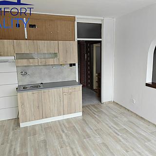 Pronájem bytu 1+1 38 m&sup2; Ostrava