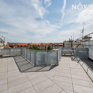 Prodej bytu 5+1 a více 290 m² Praha, Buzulucká