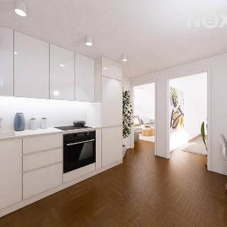 Prodej bytu 2+1 43 m² Brno, Netušilova