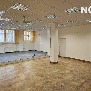 Pronájem obchodu 285 m² Tábor, Světlogorská