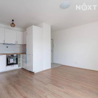 Pronájem bytu 2+kk 43 m² Slaný, Prokopa Holého