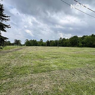 Pronájem zemědělské půdy 7056 m² Doubrava