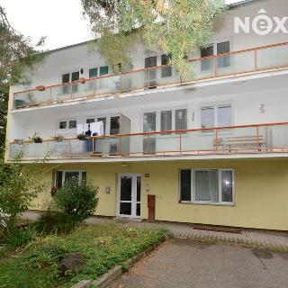 Prodej bytu 3+1 81 m² Kostelec nad Černými lesy, Kutnohorská