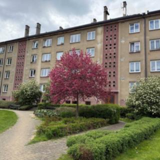 Pronájem bytu 3+1 60 m² Jilemnice, Jaroslava Havlíčka