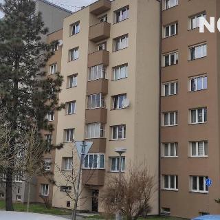 Prodej bytu 1+kk a garsoniéry 25 m² Plzeň, Křimická