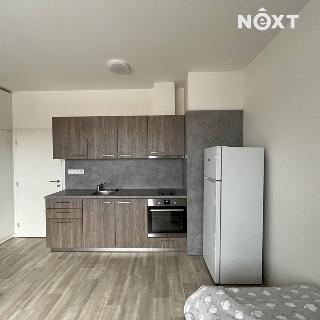 Pronájem bytu 1+kk a garsoniéry 27 m² Plzeň, Plovární