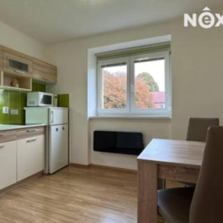 Pronájem bytu 1+1 32 m² Lipno nad Vltavou, 