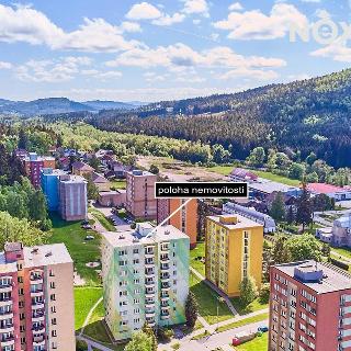 Prodej bytu 3+1 58 m² Loučovice, 