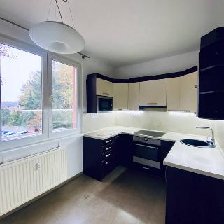 Pronájem bytu 3+1 74 m² České Budějovice, K. Chocholy