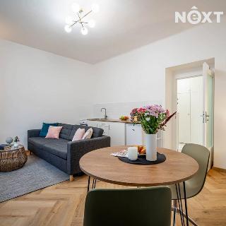 Pronájem bytu 1+kk a garsoniéry 29 m² Praha, Na Mlejnku