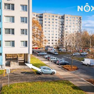 Pronájem bytu 1+kk a garsoniéry 36 m² Pardubice, Gagarinova