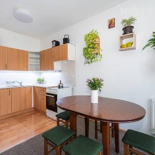 Prodej bytu 2+kk 69 m² Brno, Kosmákova