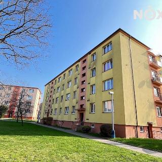 Pronájem bytu 3+1 66 m² Žatec, Podměstí