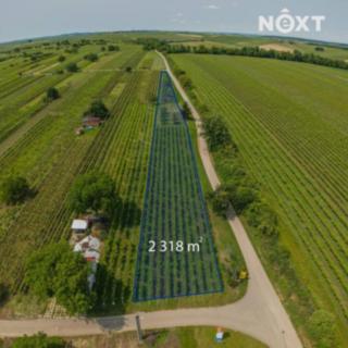 Prodej ostatních pozemků 2318 m² Prušánky
