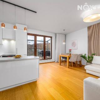 Pronájem bytu 3+kk 98 m² Praha