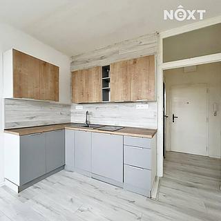 Pronájem bytu 1+kk, garsoniery 18 m&sup2; Chodov