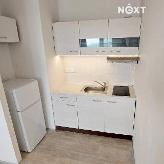 Pronájem bytu 1+kk a garsoniéry 33 m² Moravský Beroun, gen. Svobody