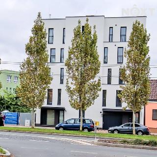 Pronájem bytu 2+kk 54 m² Hradec Králové, Gočárova třída