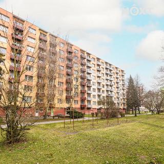 Prodej bytu 2+1 66 m² Jindřichův Hradec, sídliště Vajgar