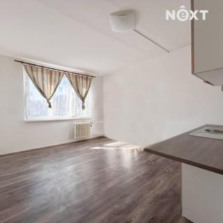 Pronájem bytu 1+kk a garsoniéry 21 m² Chodov, náměstí 9. května