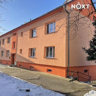 Prodej bytu 3+1 69 m² Tlumačov, Skály