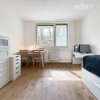 Pronájem bytu 1+kk a garsoniéry 20 m² Brno, Jedovnická