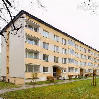 Pronájem bytu 2+1 63 m² Žatec, Ostrov