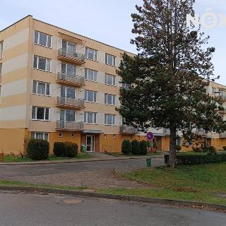 Prodej bytu 2+1 62 m² Chlum u Třeboně, Sídliště F. Hrubína