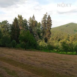 Prodej ostatního pozemku 3 560 m² Prachatice Libínské Sedlo