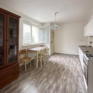 Prodej bytu 2+1 61 m² Ostrov, Jungmannova