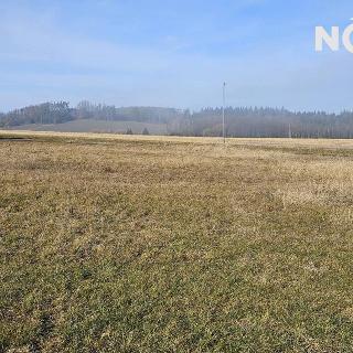 Prodej stavební parcely 810 m² Borotín, 